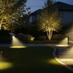 6 Best Solar Spotlights (Tested in Real)