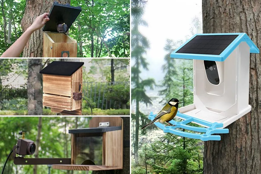 7 Best Solar Birdhouse Cameras for hidden outdoor security and wildlife viewing in 2026