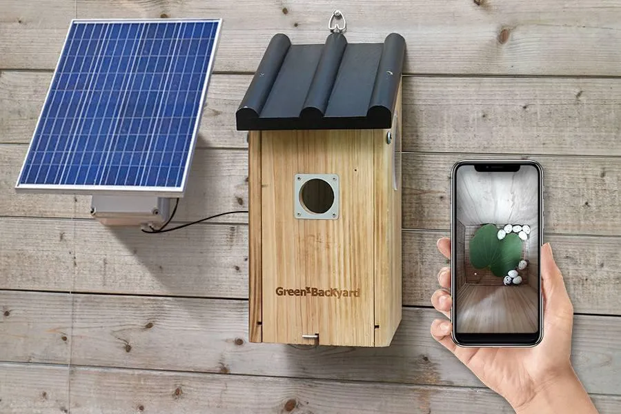 7 Best Solar Birdhouse Cameras for hidden outdoor security and wildlife viewing in 2026